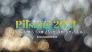 Pilsang di Bolmut: Puluhan Petahana Bertarung Lagi, Ini Daftar Desa dan Nama Sangadinya