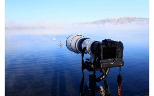 Canon Luncurkan 2 Seri Lensa Super Telephoto Andalan dengan Mount RF, Ini Spesifikasi dan Harganya
