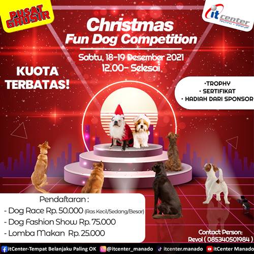 Christmas Fun Dog Competition.