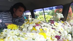 Pedagang Bunga Krisan Bersiap Jemput Rejeki di Akhir Tahun