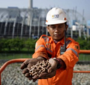 Program Co-Firing PLTU Turut Bangun Ekosistem Listrik Kerakyatan