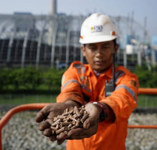 Program Co-Firing PLTU Turut Bangun Ekosistem Listrik Kerakyatan