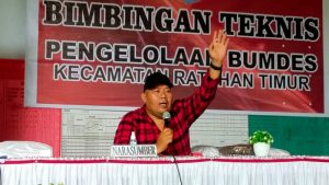 BUMDes Investasi Menjanjikan, Artly Kountur: SDM, Pengelolaan, dan Pengawasan Harus Diperkuat