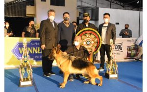 Danrem 131/Santiago Apresiasi PERKIN Atas Pelaksanaan Christmas Dog Show Competition 2021