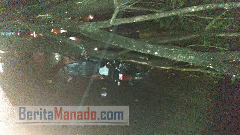 2 Mobil dan 1 Motor Tetimpa Pohon Tumbang di Ring Road Manado