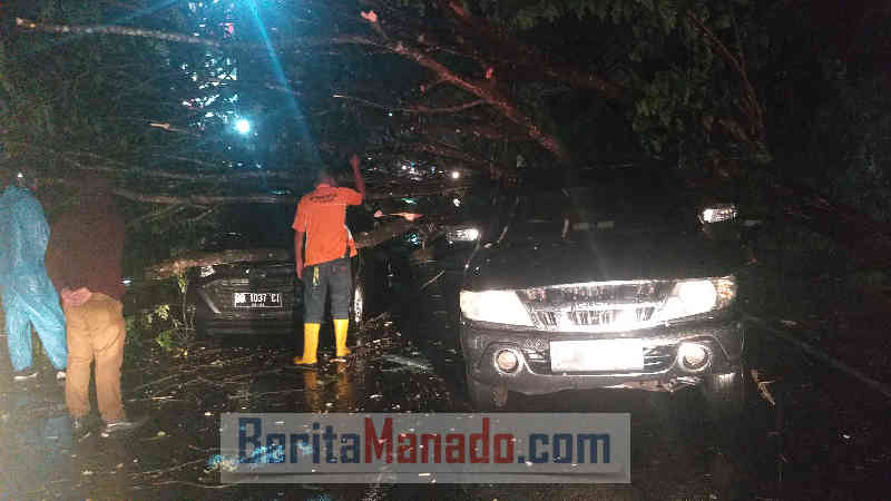 2 Mobil dan 1 Motor Tetimpa Pohon Tumbang di Ring Road Manado