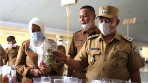 Menekan Angka Kemiskinan Lewat Pengembangan UMKM