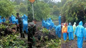 BPBD Tomohon Gerak Cepat Bersihkan Pohon Tumbang di Jalur Manado-Tomohon