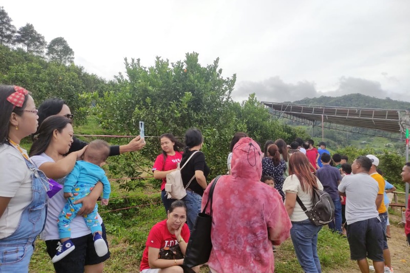 Agrowisata Kebun Jeruk Tomohon Rekomendasi Isi Hari Libur