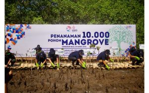BRI dan PPATK Tanam 10.000 Pohon Mangrove, Peringati 20 Tahun Gerakan APU-PPT