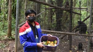 PGE Lahendong Raih Indonesia Green Award 2022 untuk Konservasi Yaki