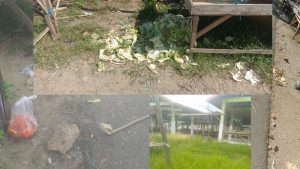 Kebersihan Pasar Tak Terurus, Pemdes Ollot Surati Disperindagkop Bolmut, Ini Poin-poinnya