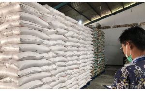 Resi Gudang Terus Tumbuh, Potensi Besar Jadi Peluang Usaha Baru