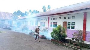 Sudah 9 Kasus, Dinas Kesehatan Mitra Imbau Warga Waspadai DBD