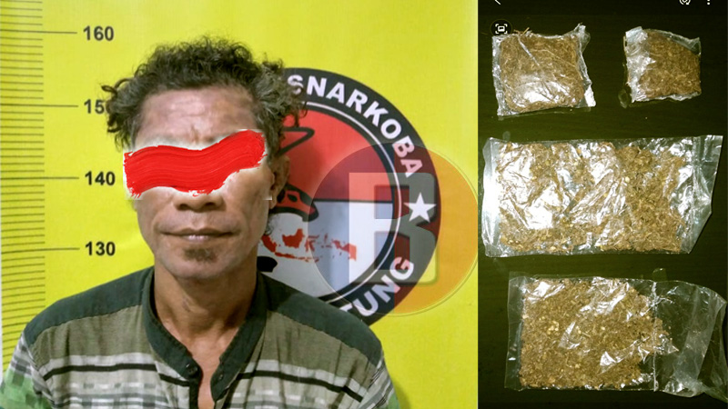 “Rumput” Papua Mulai Masuk Bitung, Polres Lakukan Pengembangan