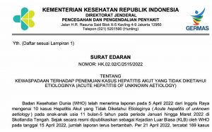 Temuan Kasus Hepatitis Akut Meresahkan, Kementerian Kesehatan Indonesia Terbitkan Edaran Kewaspadaan