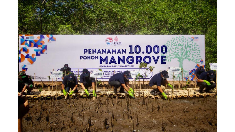 Hari Lingkungan Hidup Internasional, BRI Perkuat Komitmen Atasi Perubahan Iklim