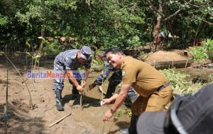 Bakti TNI AL Berlanjut, Lanal Tahuna Bersama DLH Sangihe Tanam Bibit Bakau di Petta Timur
