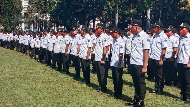 Penghapusan Tenaga Honorer, Pemprov Sulut Cari Formula Terbaik, Ada Kesempatan Ini untuk THL