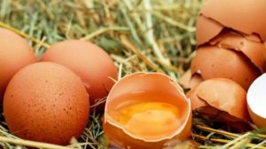Tiga Bahaya Makan Telur Mentah! Sebaiknya Konsumsi yang Matang