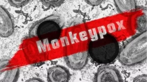 WHO Tetapkan Cacar Monyet sebagai Darurat Kesehatan Global, Begini Awal Penyebarannya