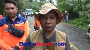 Pohon Tumbang di Pangu Sebabkan Akses Jalan dan Aliran Listrik Terganggu