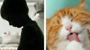 Dibully Agar Bersetubuh dengan Kucing, Bocah 11 Tahun Berujung Maut