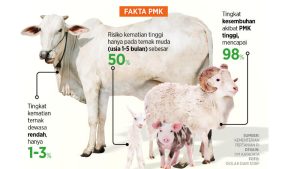 Wabah PMK, Peternak Tak Perlu Panik