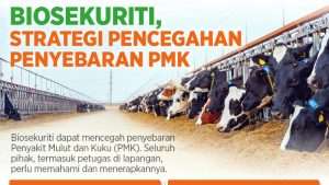 Biosekuriti, Strategi Pencegahan Penyebaran PMK