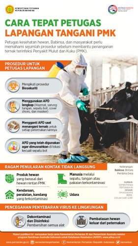 Cara Tepat Petugas Lapangan Tangani Penyakit Mulut dan Kuku pada Ternak