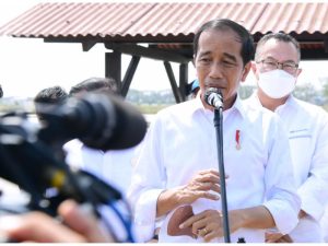 Joko Widodo Sebut Calon Pengganti Wakil Ketua KPK Segera Diajukan ke DPR RI