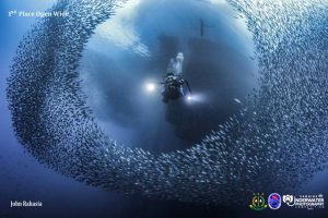Sukses Digelar, Sangihe Sajikan Spot Foto Bawah Laut Terbaik