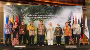 PTM CPOPC, Airlangga Hartarto: Minyak Sawit Solusi Krisis Pangan dan Energi Dunia