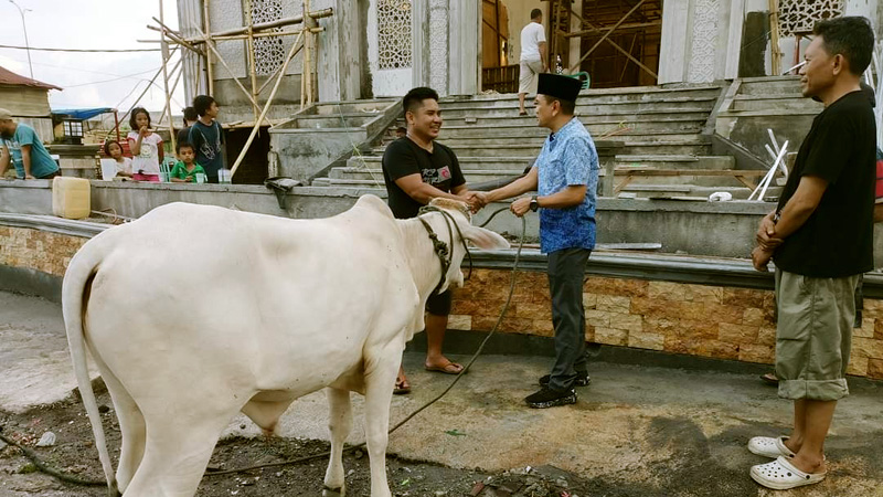 Empat Sapi Qurban Dibagikan Ramlan Ifran Bersama Keluarga