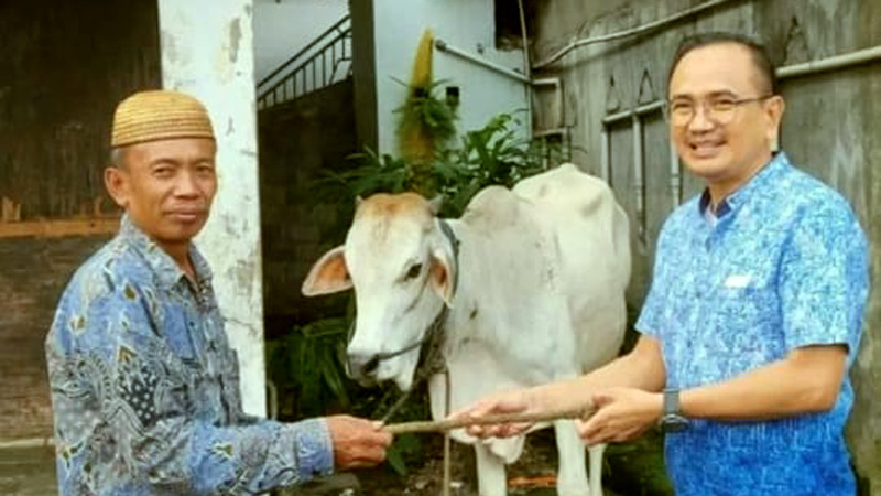 Empat Sapi Qurban Dibagikan Ramlan Ifran Bersama Keluarga