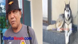 Pemilik Anjing Bisa Kena Pidana 6 Bulan Penjara, Kasatpol Irwan Abdjulu: Kita Sosialisasikan