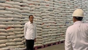 Stok Beras Capai 10,2 Juta Ton, Indonesia Raih Penghargaan dari IRRI