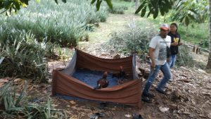 Resmob Polres Kotamobagu Gerebek Judi Sabung Ayam di Perkebunan Tuntung
