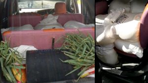 Polres Bolmong Gagalkan 625 Liter Cap Tikus Siap Edar di Wilayah Dumoga
