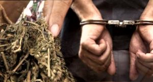 Diduga Edarkan Ganja di Manado, Dua Pemuda Ini Ditangkap Polisi