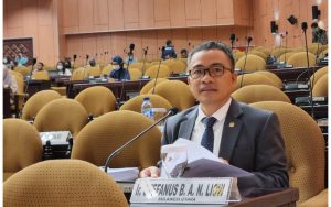 Stefanus Liow Ungkap Usulan Penghapusan Konsep Energi Baru dari RUU EB-ET