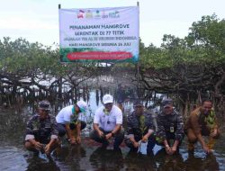 Hari Mangrove Sedunia, Dukungan PLN Kepada TNI AL Cetak Rekor Dunia
