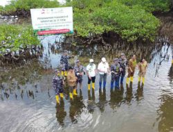Hari Mangrove Sedunia, Dukungan PLN Kepada TNI AL Cetak Rekor Dunia