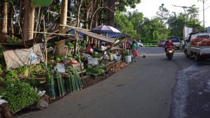 Perang Bulu di Pasar