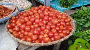Kabar Gembira! Harga Rica Tomat Turun
