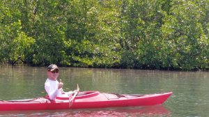 Aksi Seru Bupati Joune Ganda, Gunakan Kayak Menyusuri Sungai Mangrove Sarawet