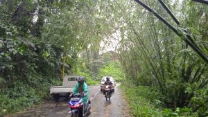 Cuaca Ekstrem Sebabkan Pohon Bambu Tumbang, Baliho Rusak, dan Atap Terbang di Tomohon