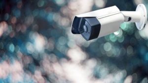 Uang Jutaan Raib di Laci Bendahara Perusahaan Ikan Bitung, Aksi Pelaku Terekam CCTV