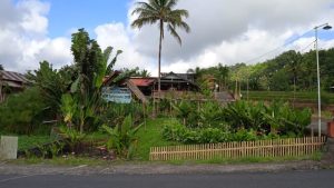 Leponiane Tomohon, Destinasi Wisata Kaya Spot Foto