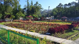 Villa Marion Tomohon, Bikin Fresh Jiwa